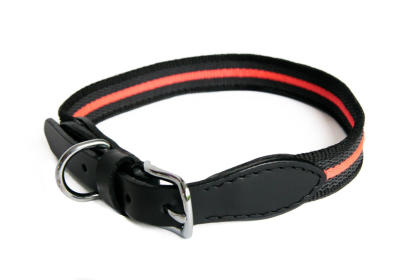 Alvalley Reflective Anti-Slip Dog Collar With Buckle (26 In X 1 In)