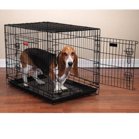 Ps Everlast Crate W/Dual Doors Xl