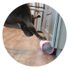 3-In-1 Enrichment Tube For Dogs - Tug Toy, Treat Dispenser & Snuffle Ball - Blue