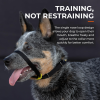 Canny Colossus No-Pull Dog Head Collar Gentle & Humane Leash Training Aid