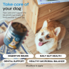 Probiotic Chews For Dogs