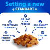 Flea And Tick Prevention For Dogs
