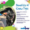 Hot Dog Nylon Dog Toy For Aggressive Chewers