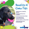 Sp Paw Print Ultra Durable Nylon Dog Chew Toy For Aggressive Chewers