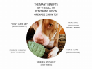 Usa-K9 Grenade Ultra Durable Nylon Dog Chew Toy For Aggressive Chewers