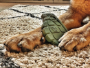 Usa-K9 Grenade Ultra Durable Nylon Dog Chew Toy For Aggressive Chewers