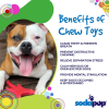 Sp Electric Guitar Ultra Durable Nylon Dog Chew Toy For Aggressive Chewers