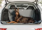 Gf Pet  Pet Cargo Cover